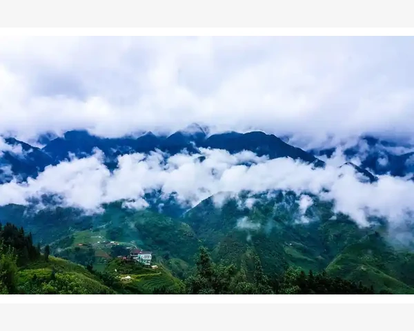 补血药材哪个效果好一点？