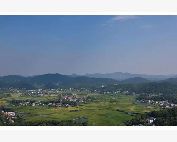 可行性研究：通过伤口也能艾灸嘛？
