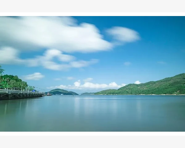 中药补气药材的种类与功效探讨